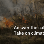 IBM Call for Code