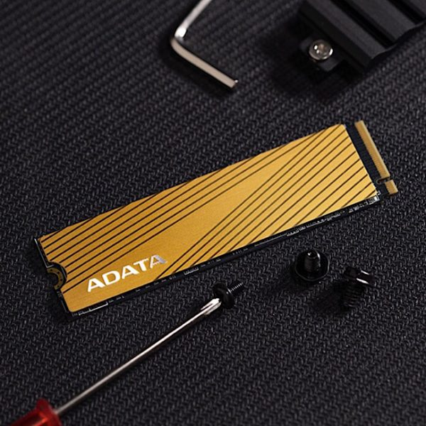 C7B13E43-A072-43CC-B89B-4E54C777021B