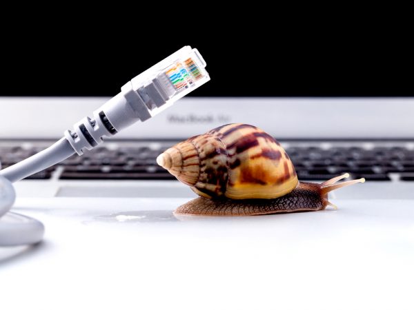 internet snail