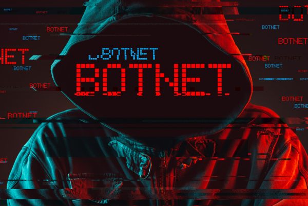 Botnet concept