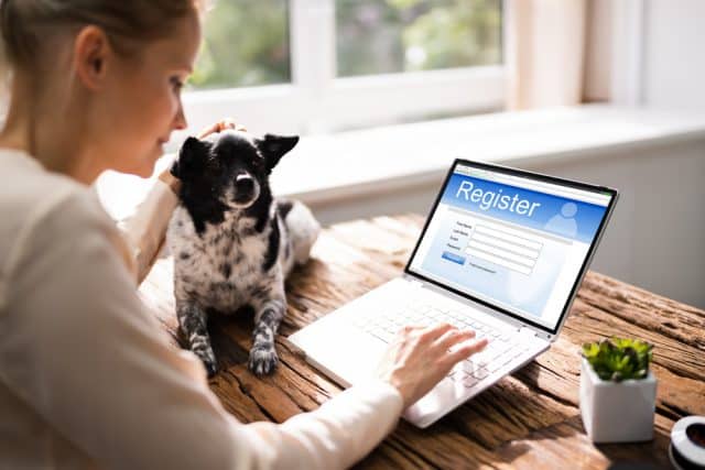 Dog laptop password
