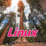 Linux sequoia