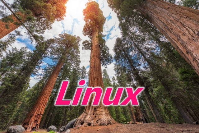 Linux-Mammutbaum