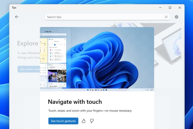 Windows 11 Tips app