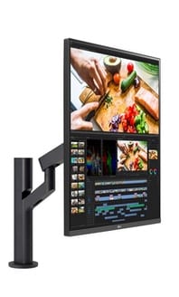 LG DualUp Monitor