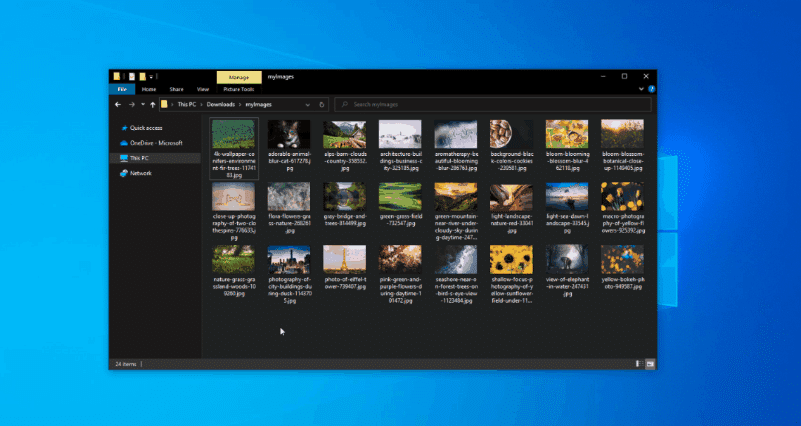 file-explorer.png?w=640