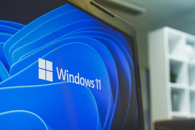 Windows 11 monitor