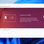 Ubuntu WSL Preview