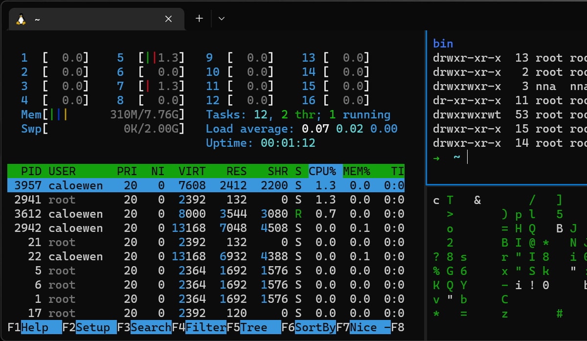 Wsl run command