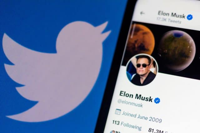 Elon Musk with Twitter logo