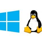 Windows and Linux logos