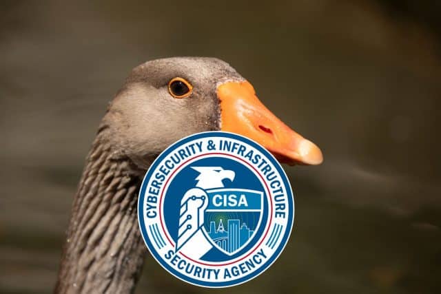 CISA logo and goose