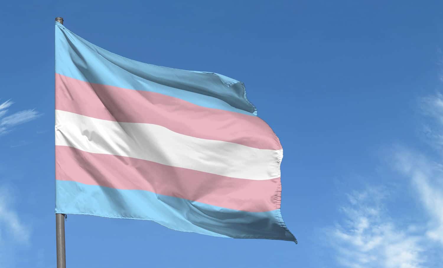 Transgender flag