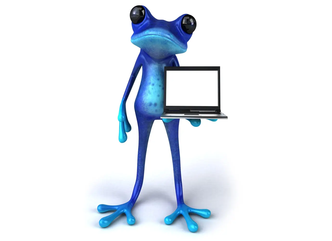 frog-laptop