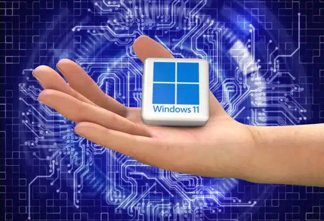 Hand holding a Windows 11 logo
