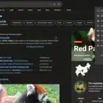 Microsoft Bing dark mode