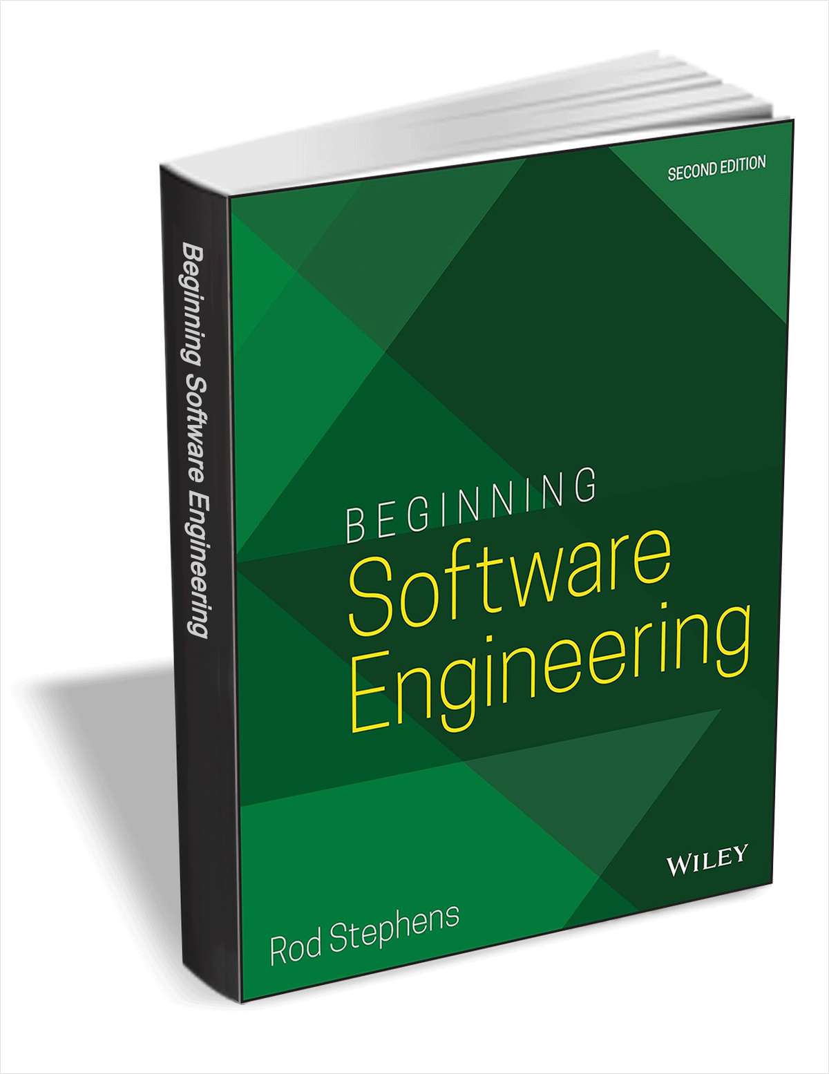 Define Software Engineering In Short