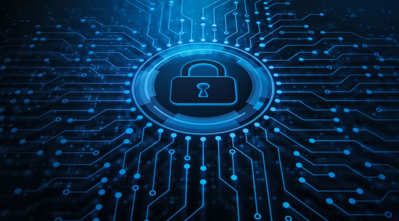 photo of SMEs invest in tech opportunities but risk missing security safeguards image