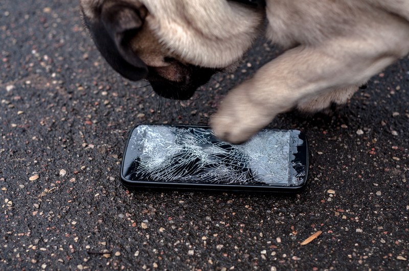 photo of Cracked screens, damaged sockets and delinquent dogs -- how Brits damage their tech image