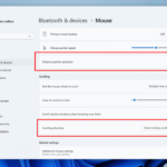 Mouse controls in Windows 11