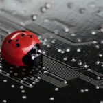 Ladybug on a circuit board