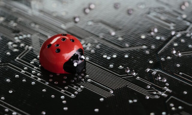 Ladybug on a circuit board