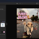 Microsoft Photos March 2025 Update
