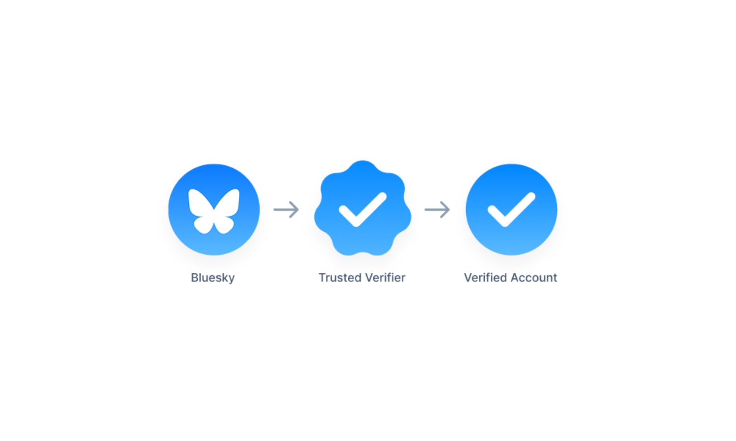 Bluesky Verification System
