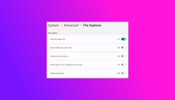 Advanced Windows Settings