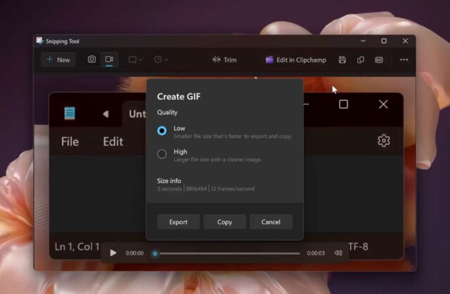 Animated GIFs in Snipping Tool