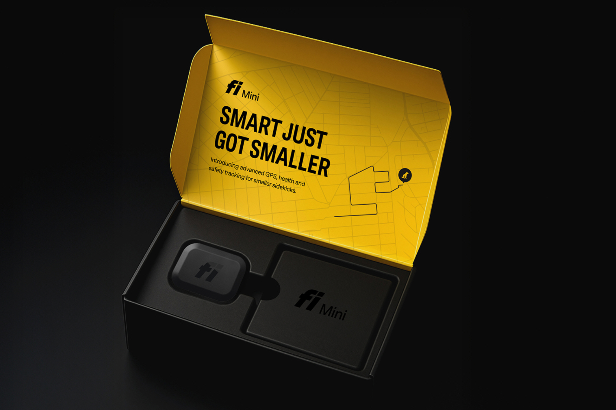 Fi Mini pet tracking