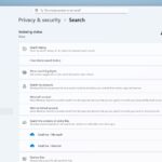 Windows 11 search settings