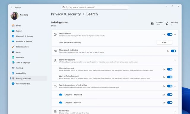 Windows 11 search settings
