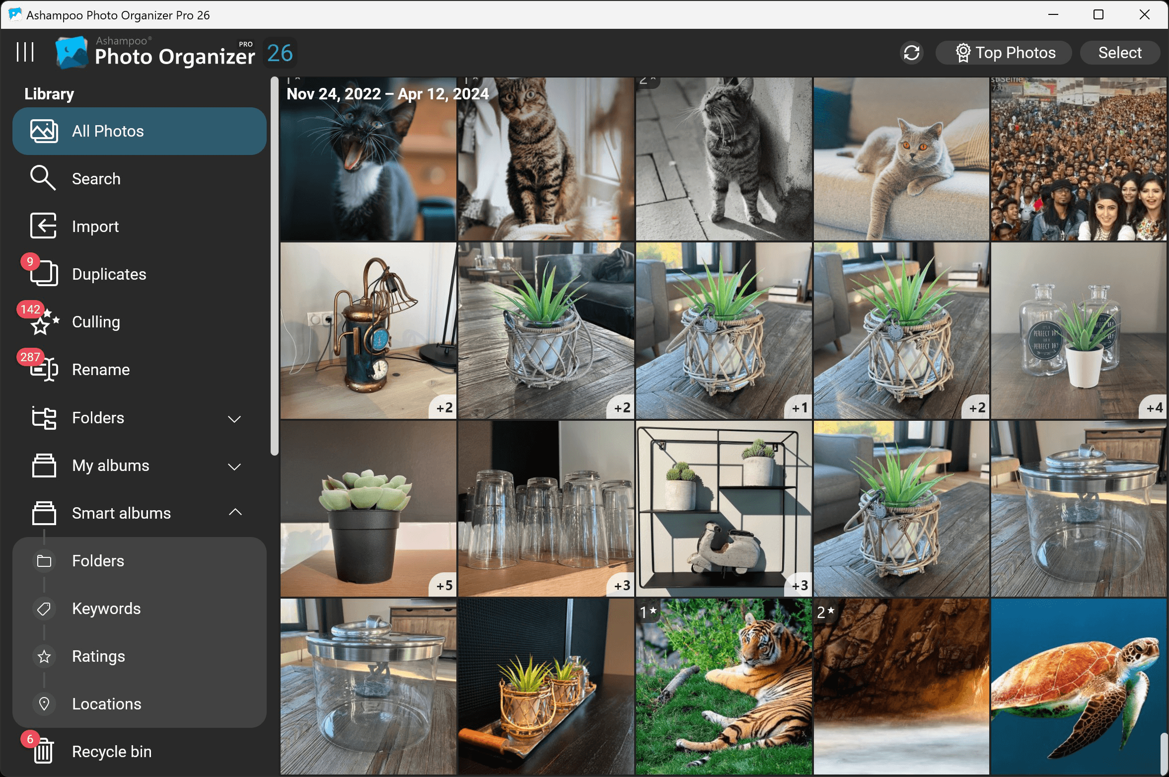Ashampoo Photo Organizer Pro 26