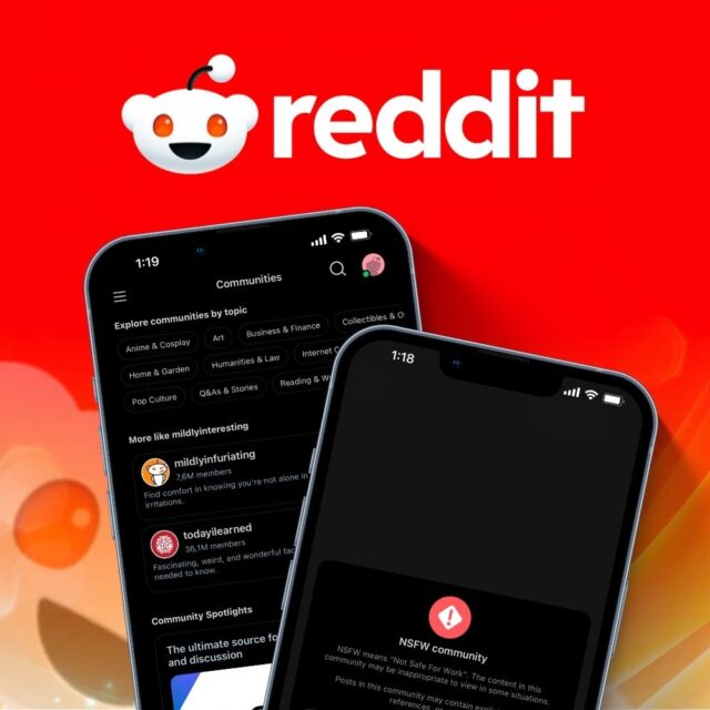 Reddit app showcasing community topics