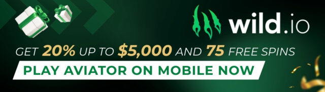 Wild.io_INT_4