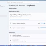 Windows 11 keyboard backlighting