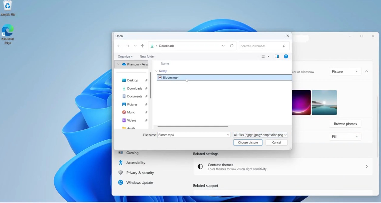 Windows 11 video wallpapers