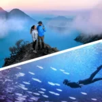 Adobe Photoshop Elements 2026 and Premiere Elements 2026