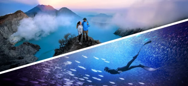 Adobe Photoshop Elements 2026 and Premiere Elements 2026