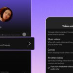 Disable Spotify videos