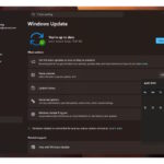 Pause updates for Windows 11