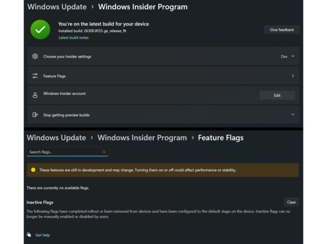 Windows 11 Feature Flags