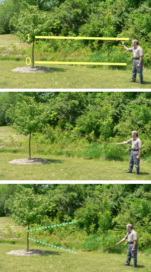 A demonstration of <i>transmission line effect</i> using a transmitter (myself), a copper wire (Black & Decker), and a receiver (maple tree).