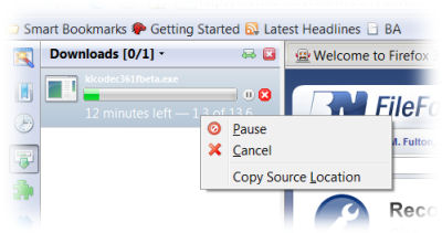 The new Firefox 3.0 download manager can suspend downloads in progress, and copy the download's source URL to the clipboard.
