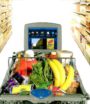 MediaCart's Windows-endowed shopping cart