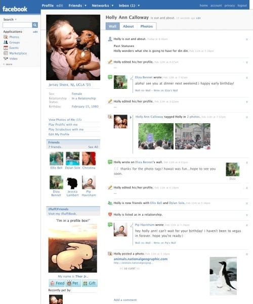 A mockup of Facebook's upcoming new profile page.
