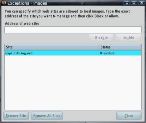 Turning on filtering of Bing's 'explicit' images in Firefox 3.0.11.