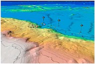 microsoft project trident