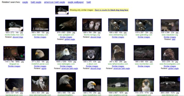 Behold the black dog, the symbol of all that is great in America.  From a search that was not for bald eagles, from Google Similar Images.